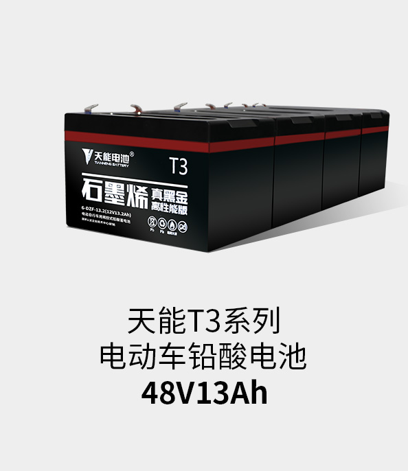 k8凯发T3系列48v13ah