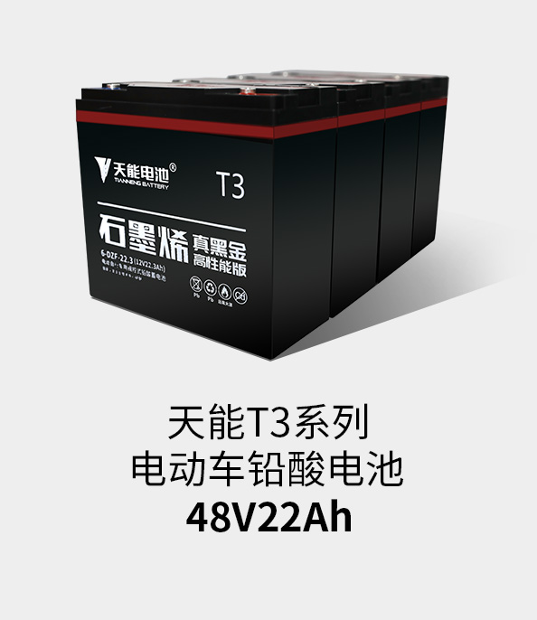 k8凯发T3系列48v22ah